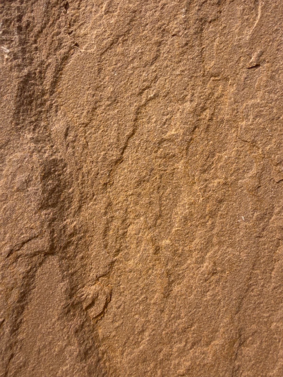Camel Dust